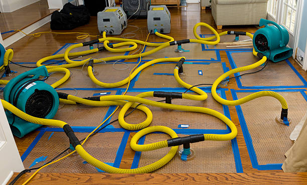 Professional Sewage Cleanup technician working in Tracy, IA